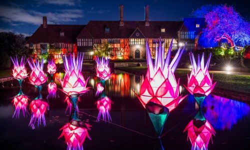 Giant illuminated flowers