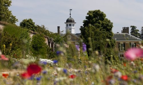Polesden Lacey with summer flowers