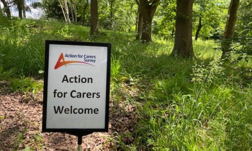 Welcome sign in woodland