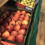 apples in a store