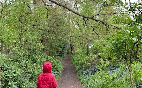 boy-alone-walking-home