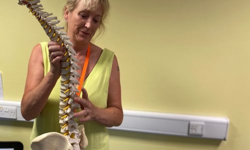 Adivsor with a model of the spine - help for carers in surrey to look after their back