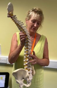 Adivsor with a model of the spine - help for carers in surrey to look after their back