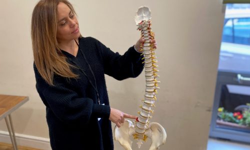 Advisor demonstrates spine movement