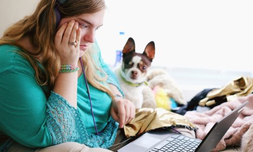 young woman on bed looking at laptop with dog