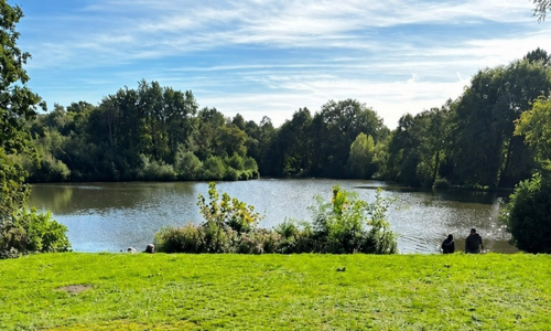 lake and tress at Broadwater park